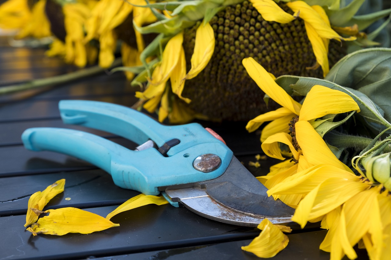 Darf in keinem Garten fehlen - die Gartenschere